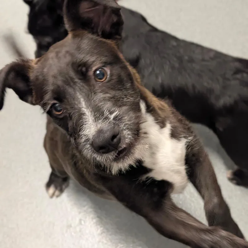 Darth  City Of thumbnail 3