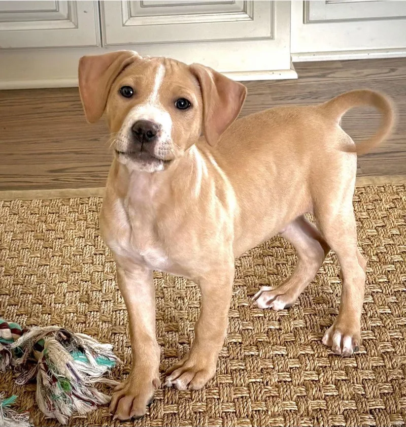 Jeremiah thumbnail 2