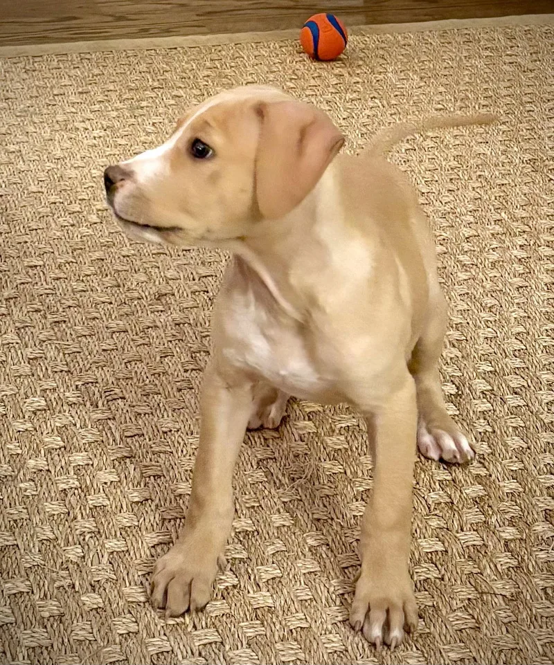 Jeremiah thumbnail 3