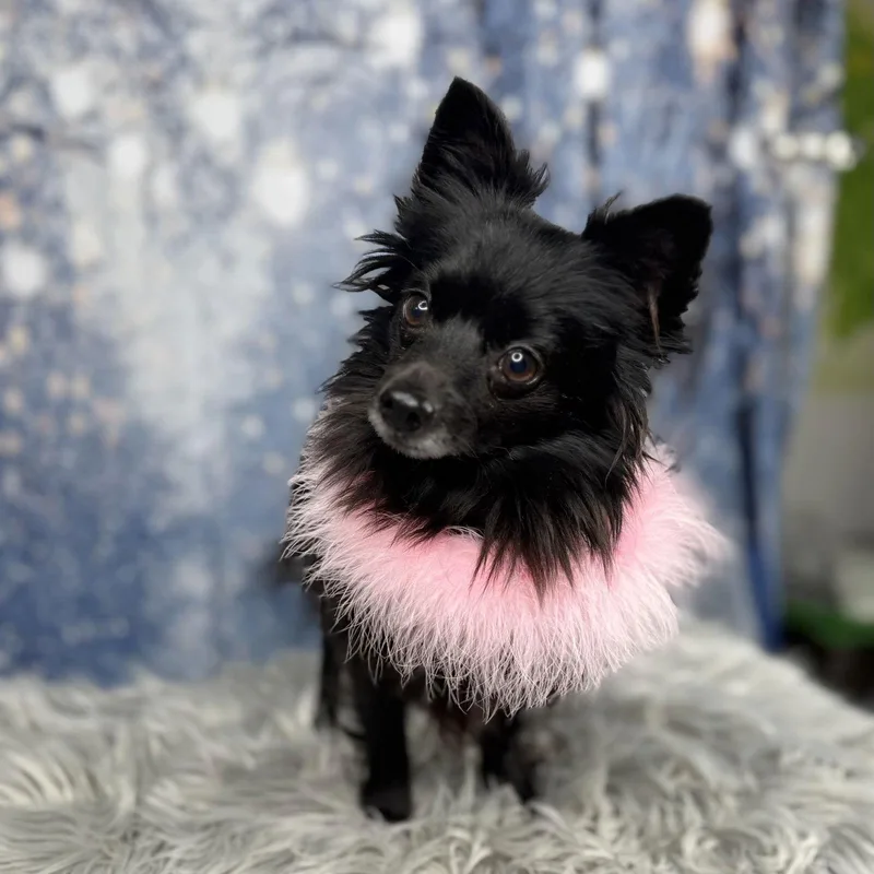 Samantha thumbnail 2