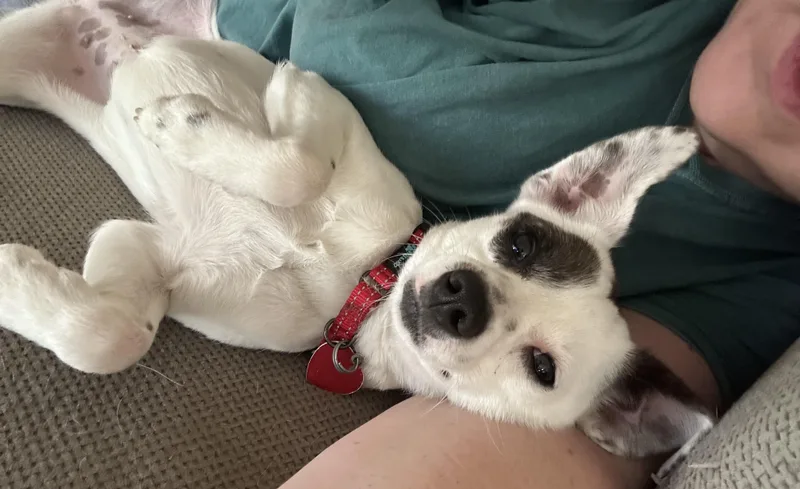 Oakley  A Little thumbnail 5