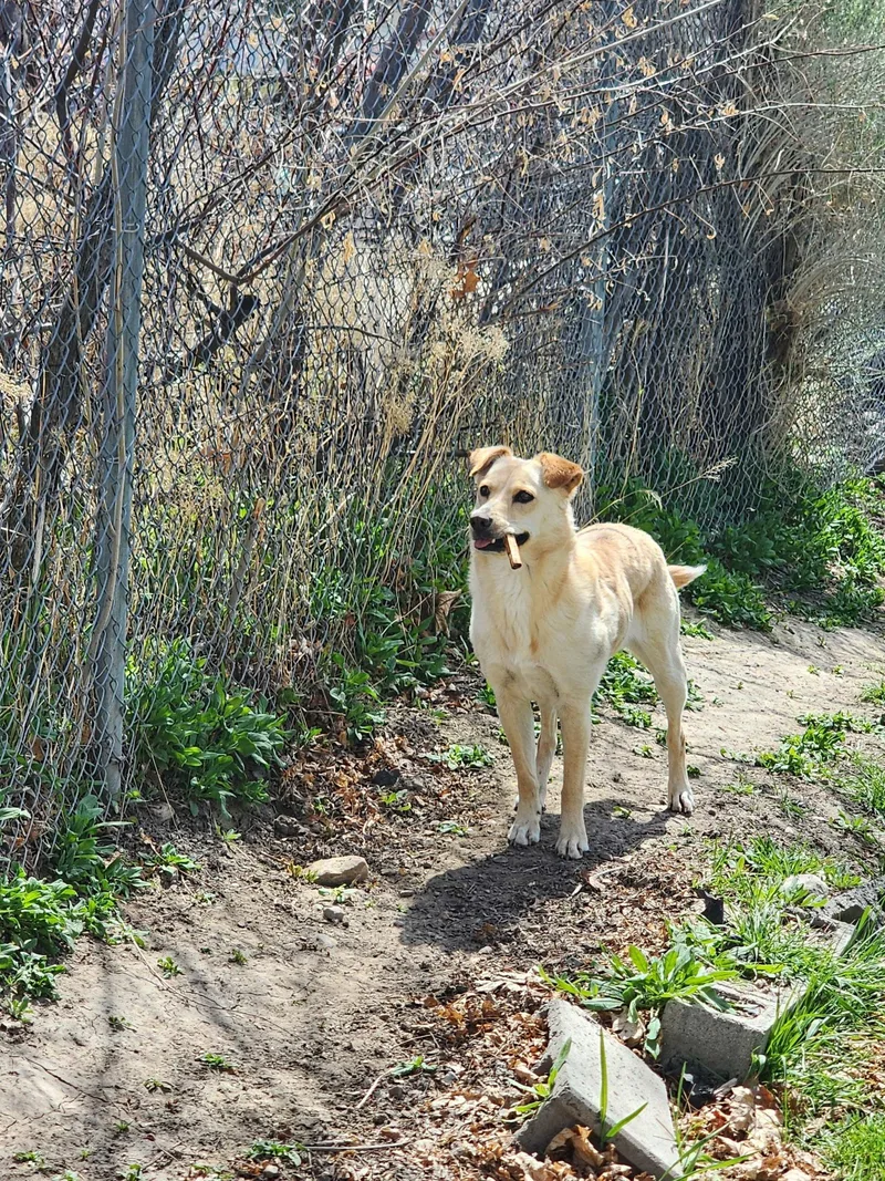 Collette thumbnail 2