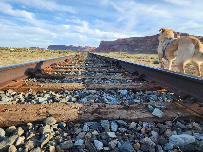 Collette thumbnail 3