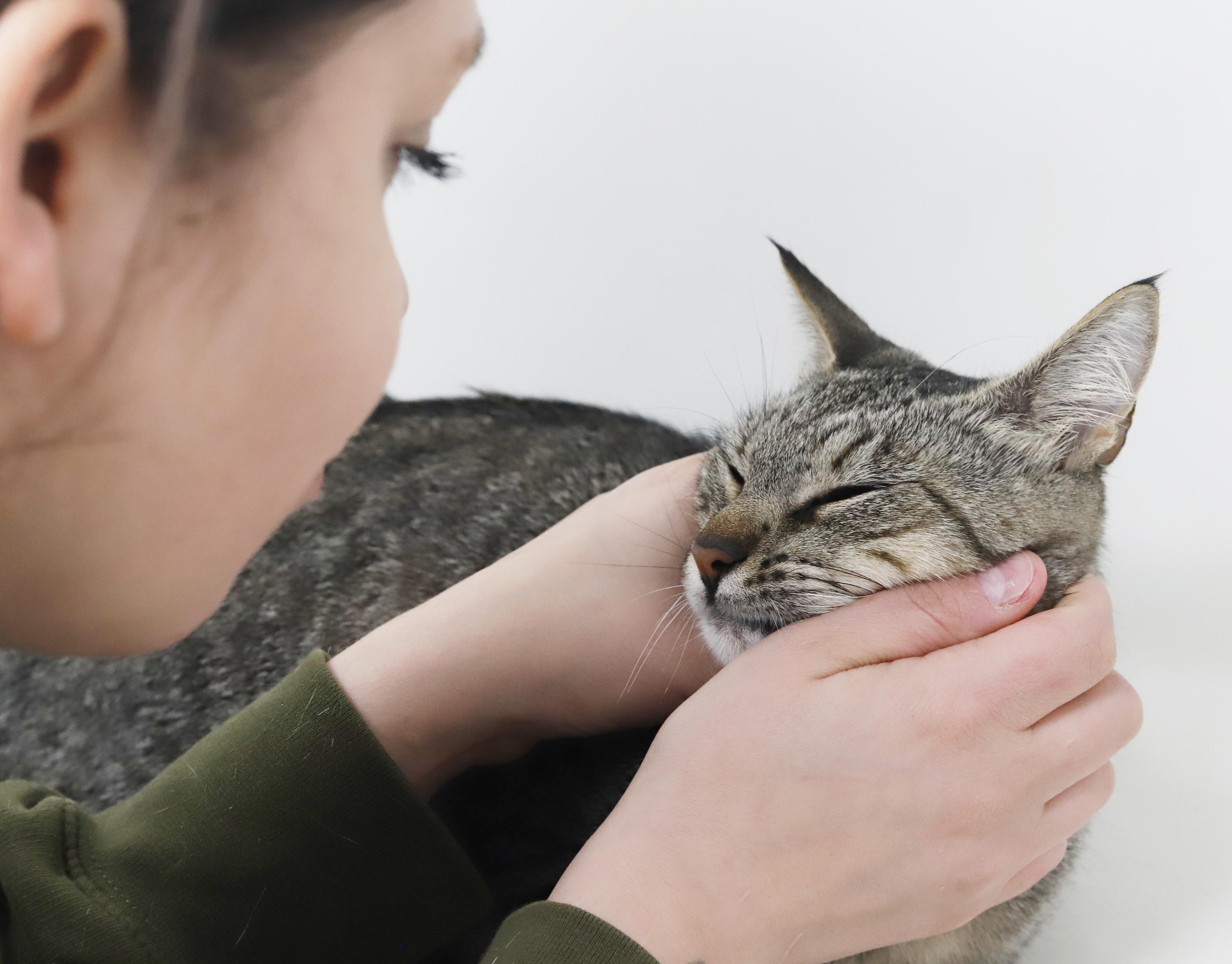 Darling Is A Darling thumbnail 6