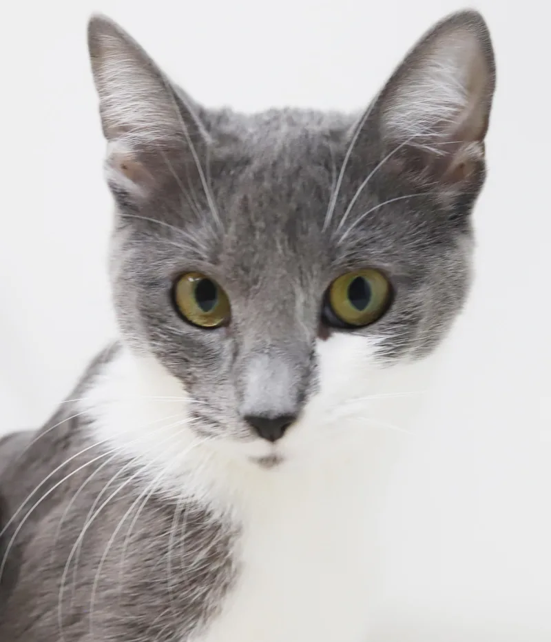 Billy Jean Is Your thumbnail 2