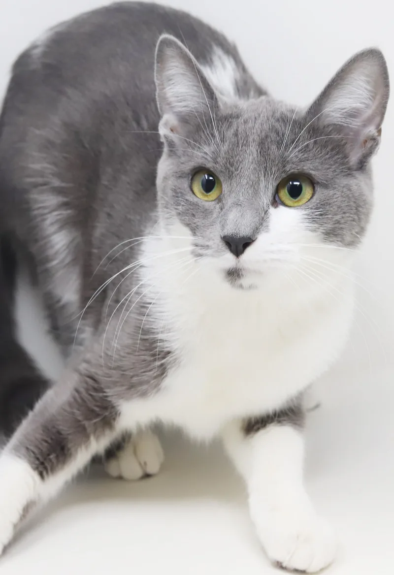 Billy Jean Is Your thumbnail 3