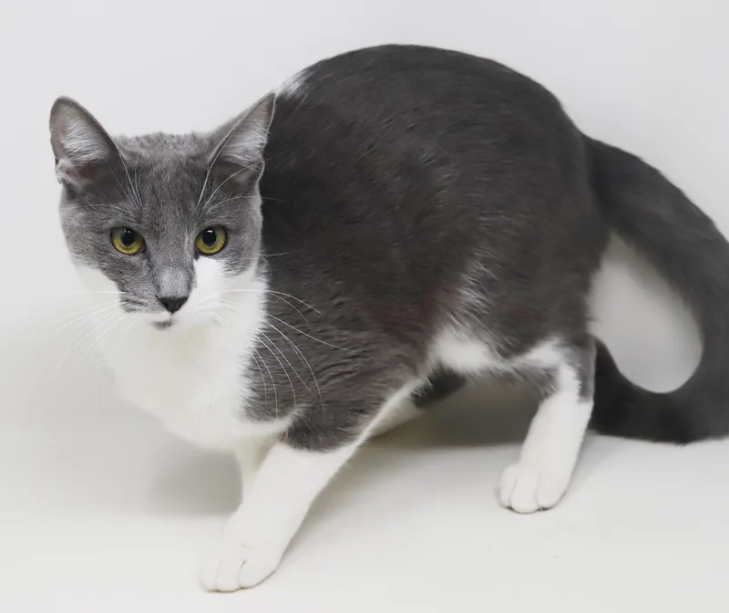 Billy Jean Is Your thumbnail 4