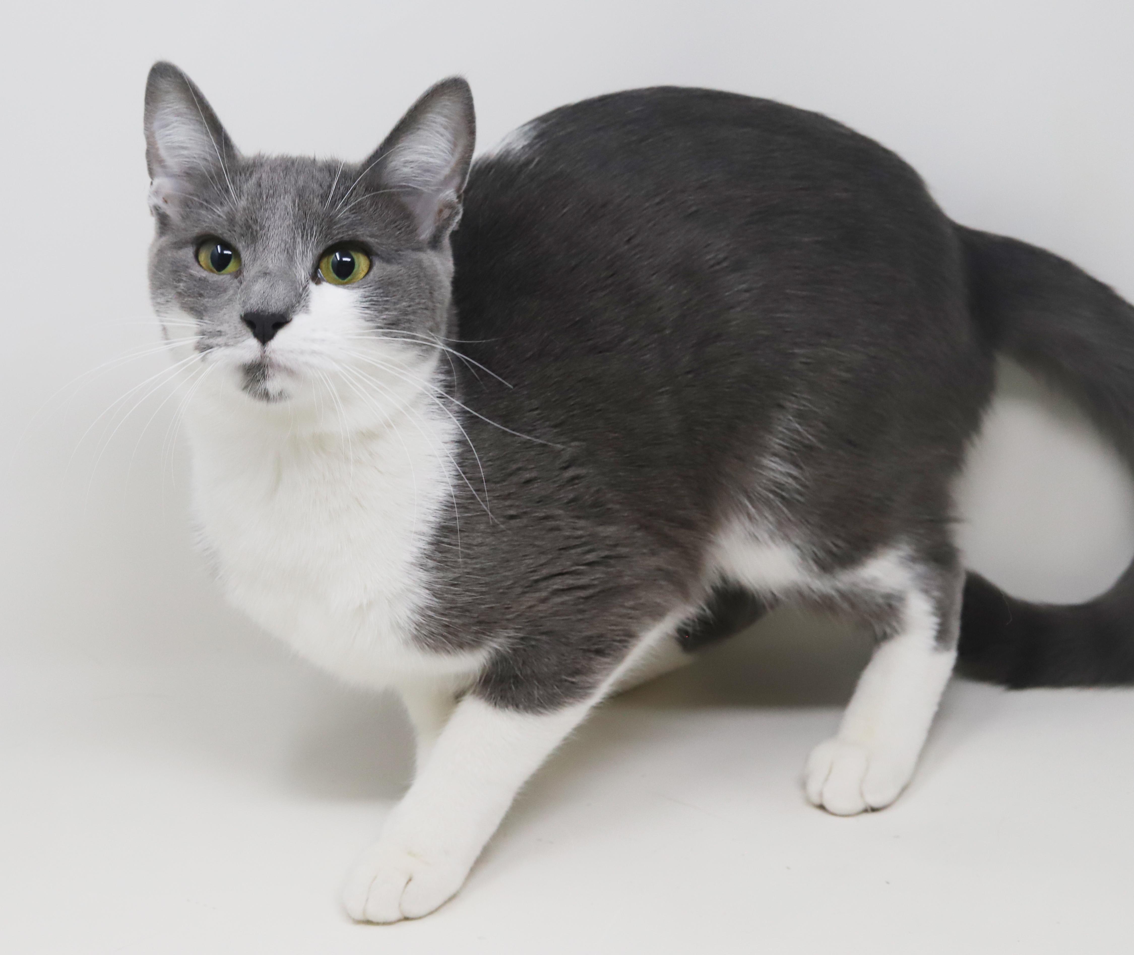 Billy Jean Is Your thumbnail 6