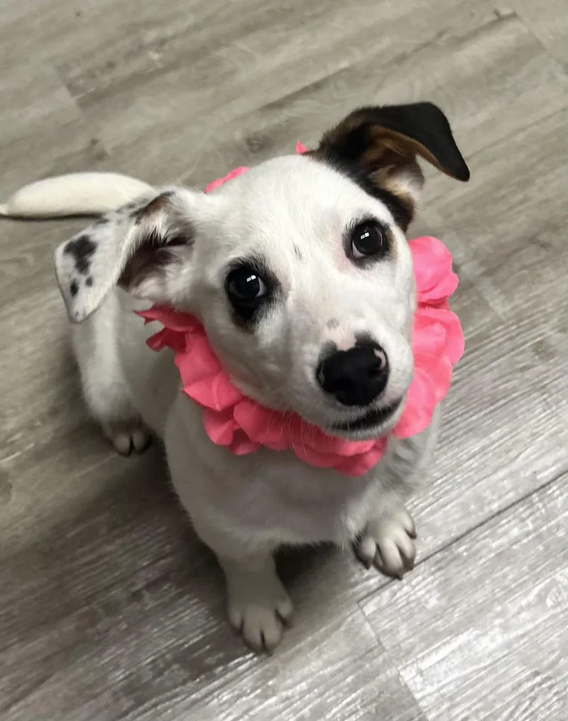 Princess Peach thumbnail 2