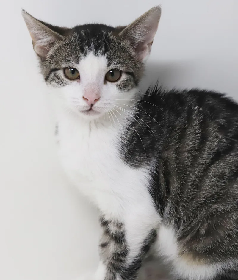 Ron Weasley! Wonderful Wonderful thumbnail 4