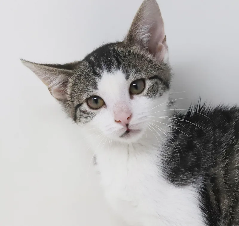 Ron Weasley! Wonderful Wonderful thumbnail 5