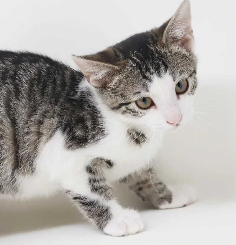 Ron Weasley! Wonderful Wonderful thumbnail 6