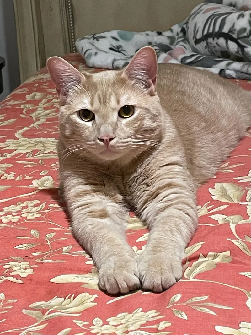 Ginger & Fiona thumbnail 2