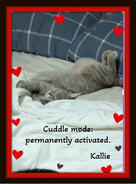 Meet Kallie.....warning: Extreme Snuggle thumbnail 5