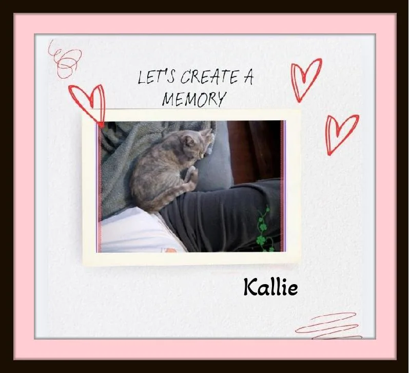 Meet Kallie.....warning: Extreme Snuggle thumbnail 6