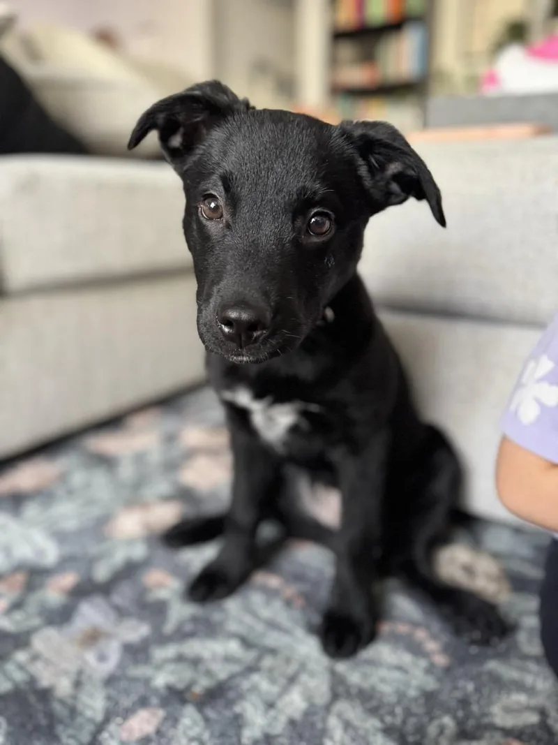 Teddy Miles thumbnail 2