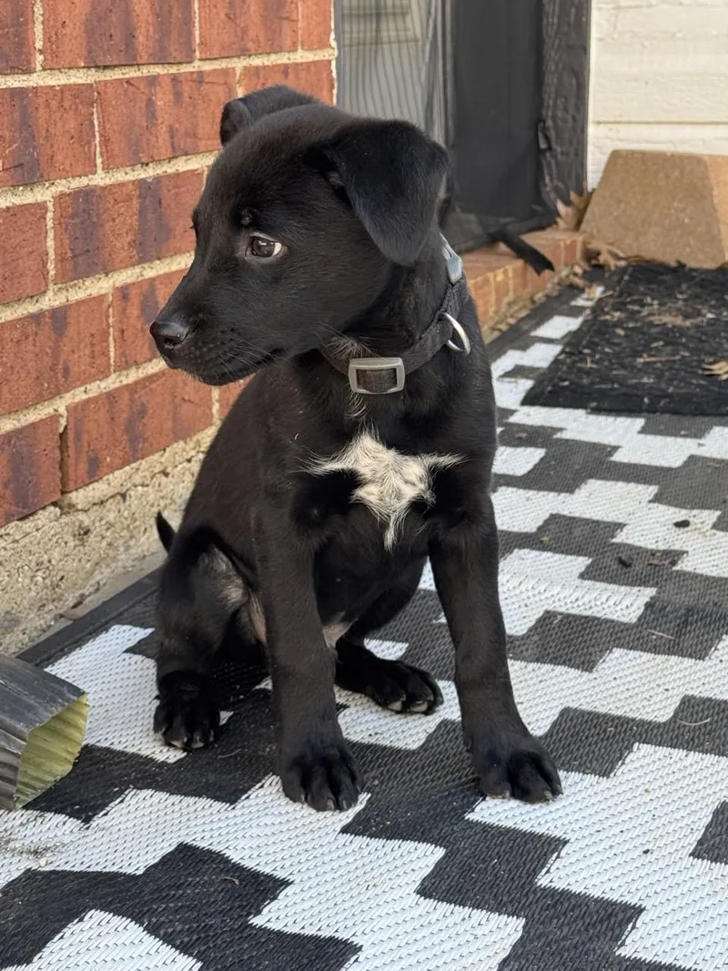 Teddy Miles thumbnail 3