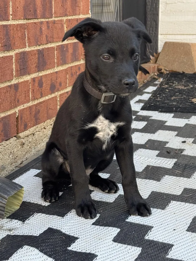 Teddy Miles thumbnail 5