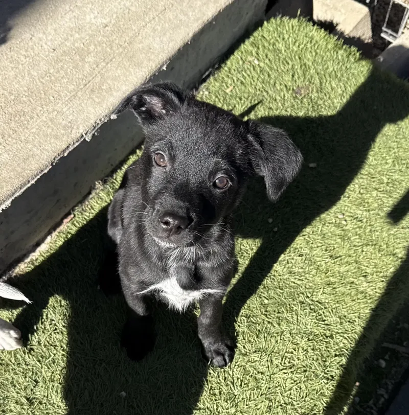 Teddy Miles thumbnail 6