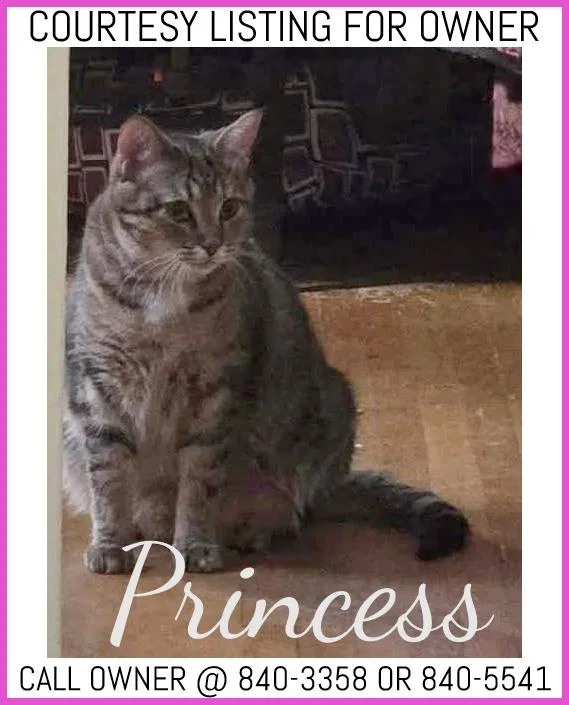 Princess  Courtesy Listing