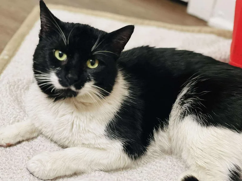 Tuna Thomas thumbnail 2