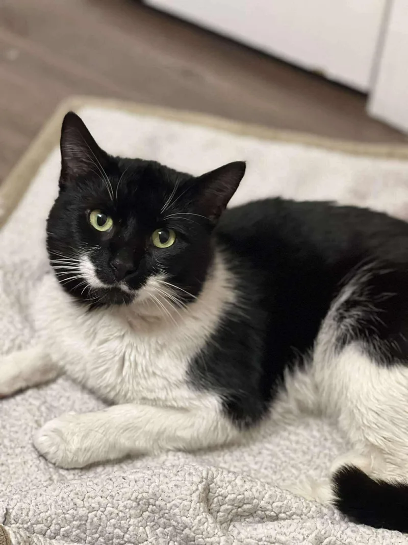 Tuna Thomas thumbnail 3