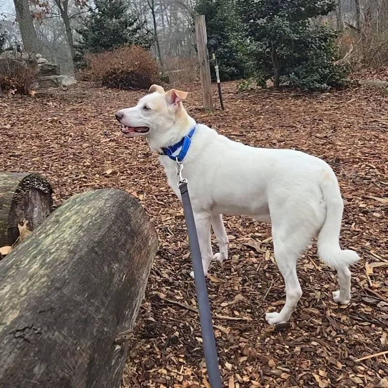 Norris Aka Nori thumbnail 2