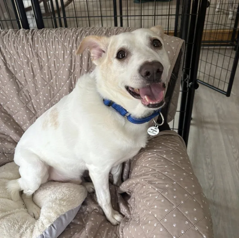 Norris Aka Nori thumbnail 5