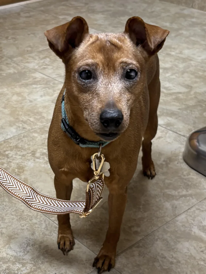 Molly B'golly thumbnail 2