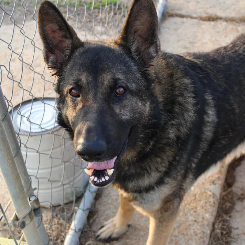 Mr. Wobbles thumbnail 2