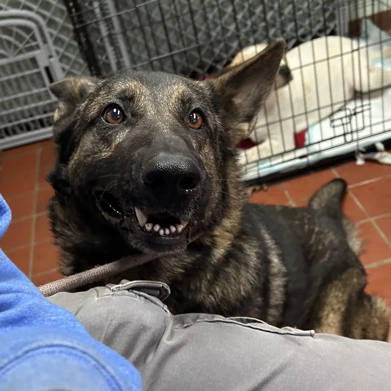 Mr. Wobbles thumbnail 3