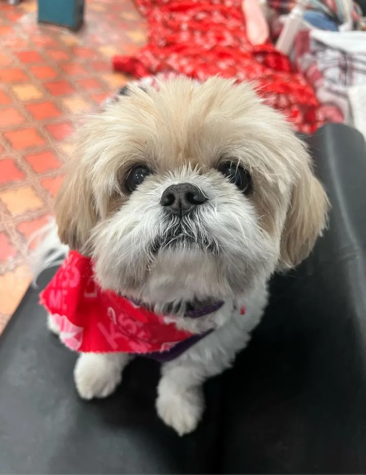 Lucy And Bailey thumbnail 3