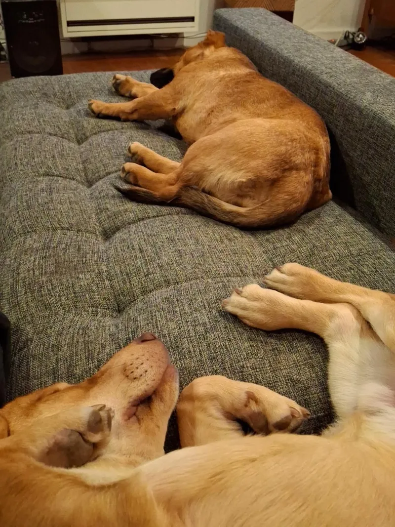 Peggy & Bobby thumbnail 3