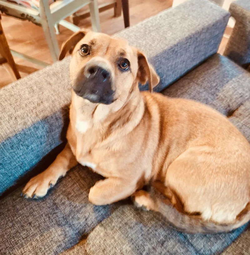 Peggy & Bobby thumbnail 4