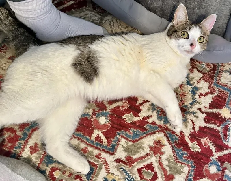 Penelope thumbnail 2