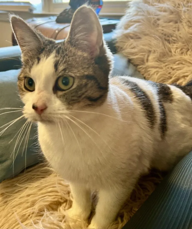 Penelope thumbnail 3