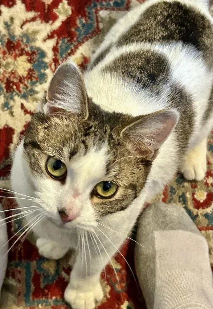 Penelope thumbnail 6