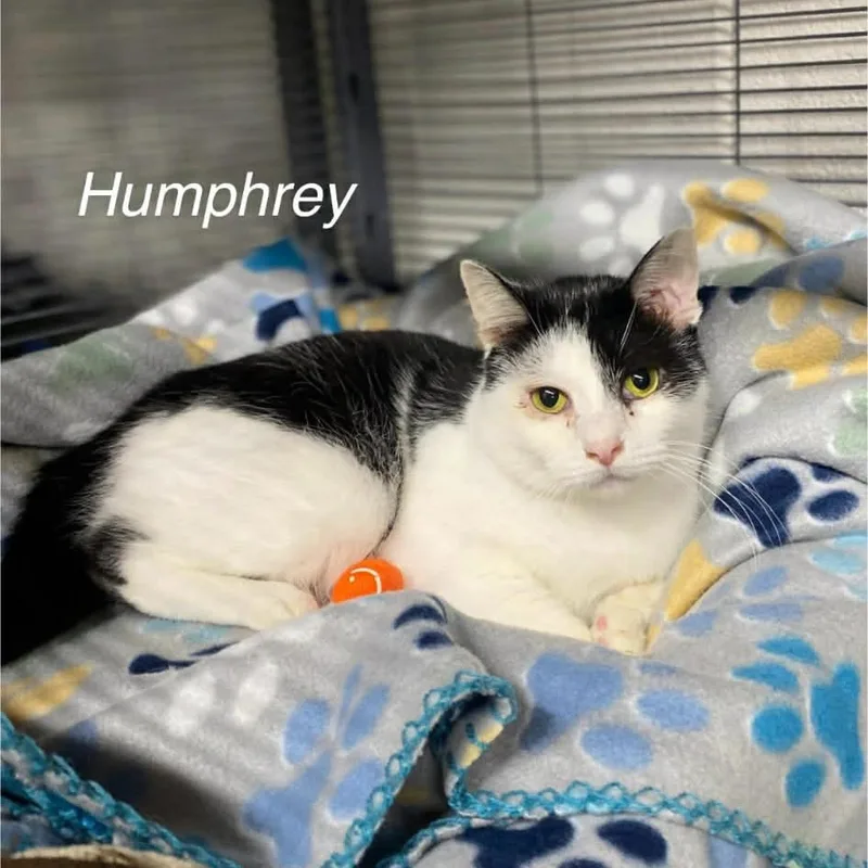 Humphrey