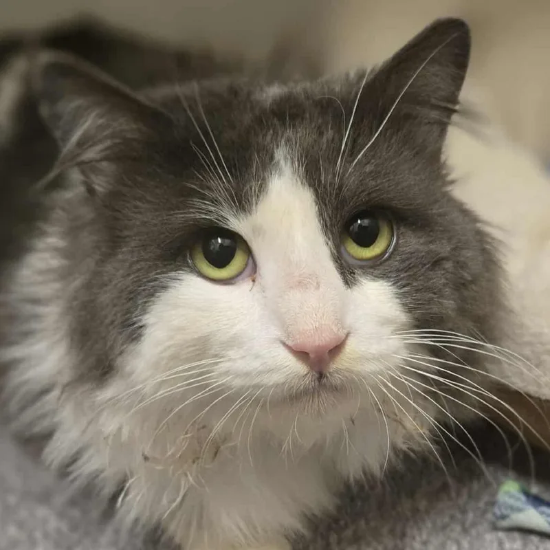 Gazorpazorp thumbnail 2