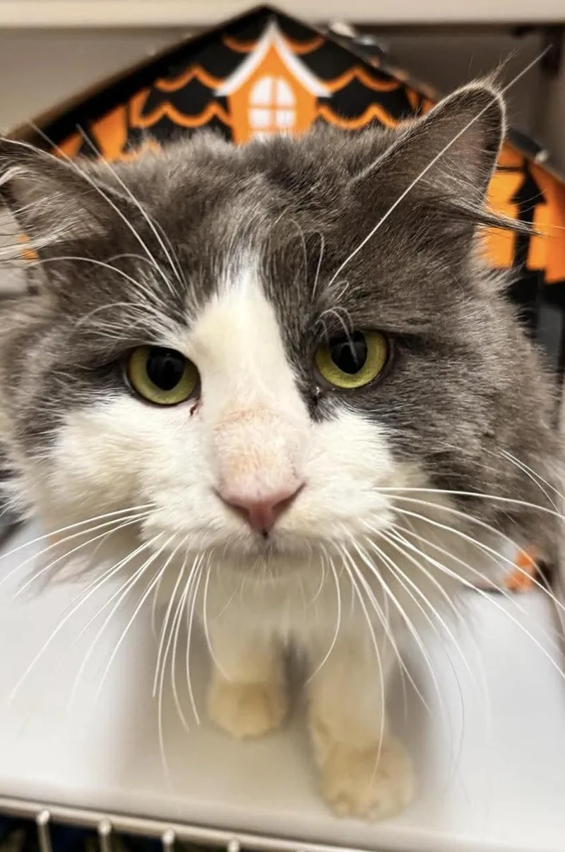 Gazorpazorp thumbnail 3