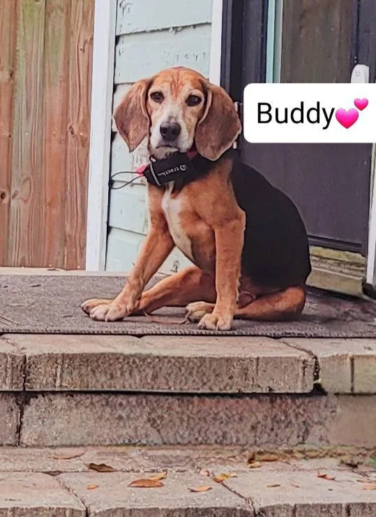 Buddy Hall thumbnail 3