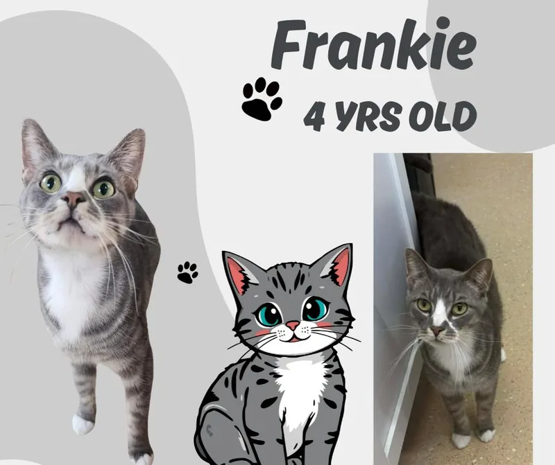 Frankie