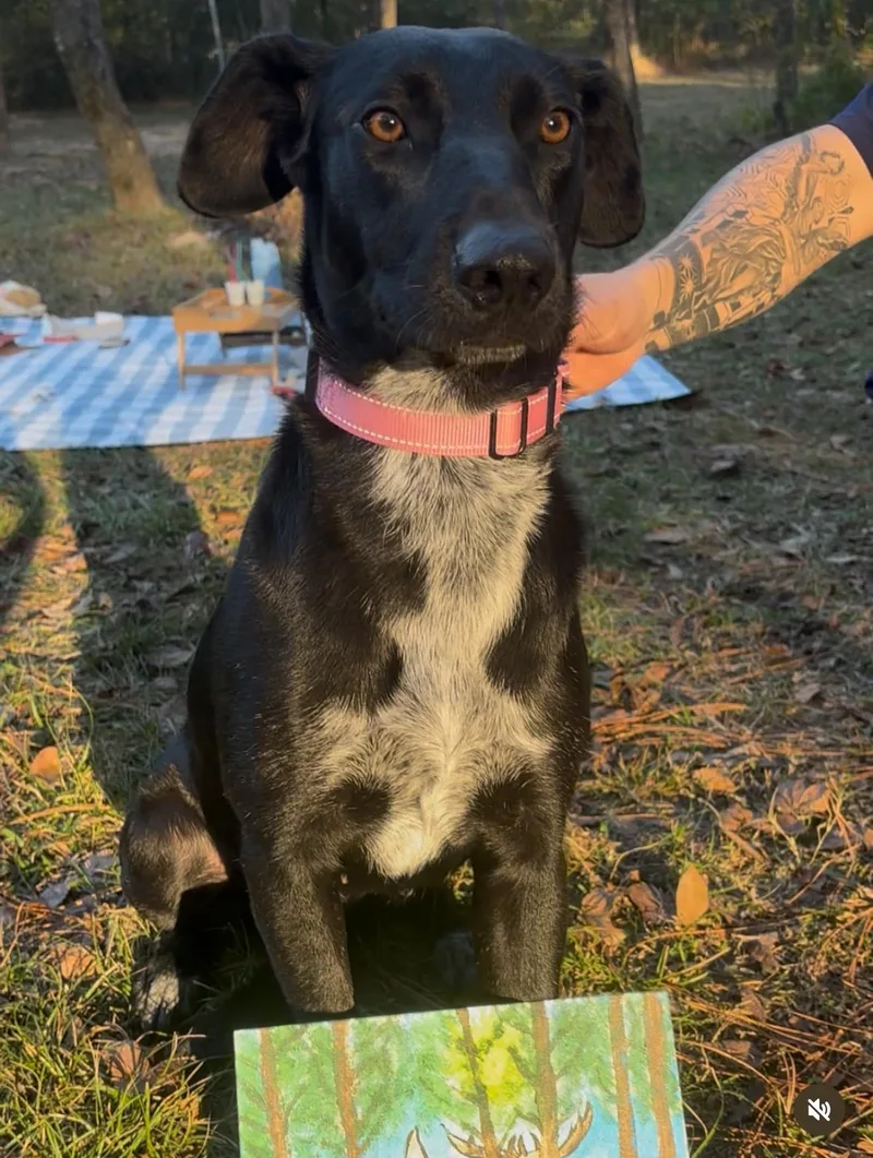 Lou Louanne thumbnail 5