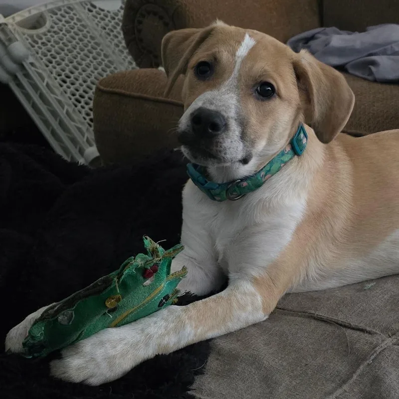 Mrs. Noonan thumbnail 2