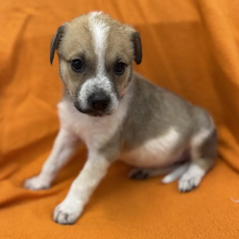 Mrs. Noonan thumbnail 3