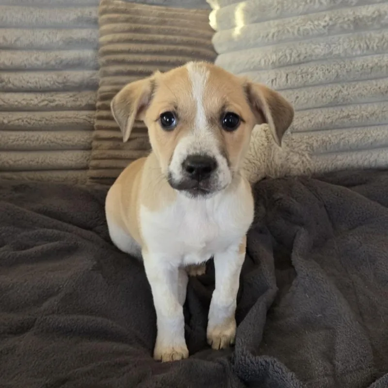 Mrs. Noonan thumbnail 4