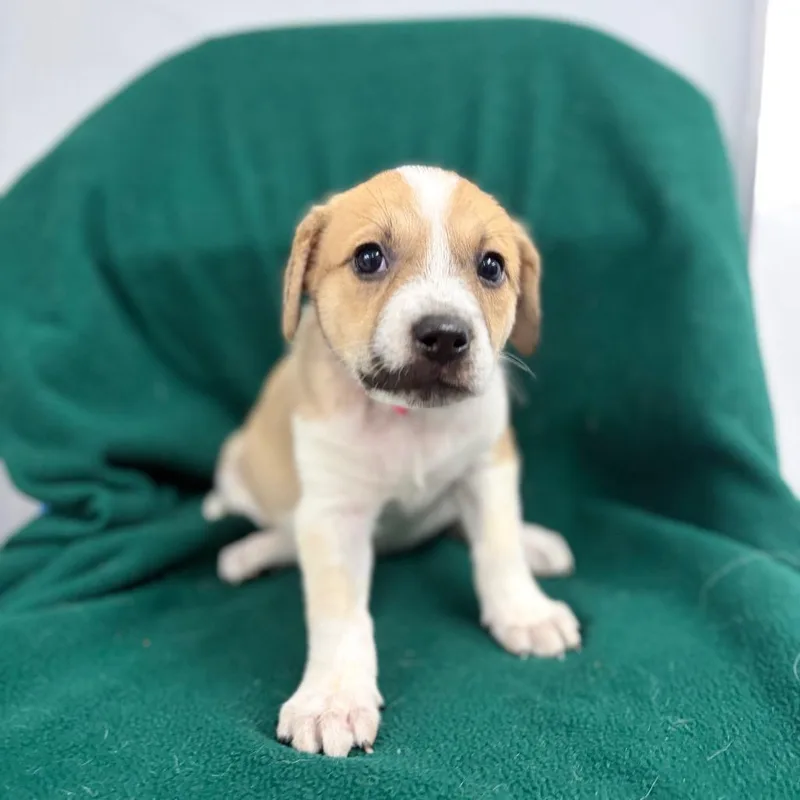 Mrs. Noonan thumbnail 5