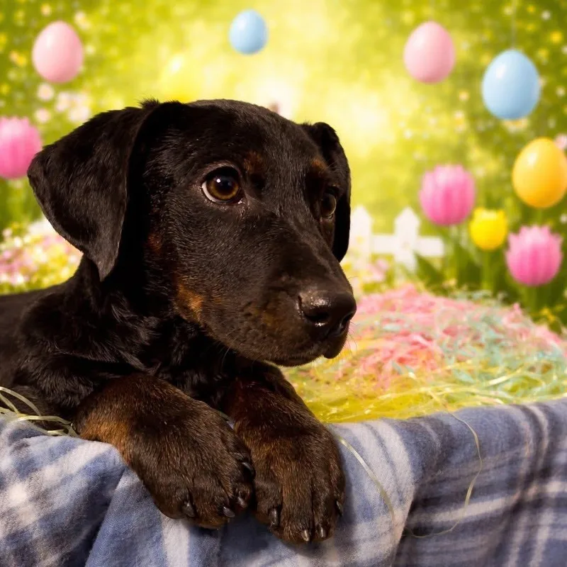 Cristina Yang thumbnail 2