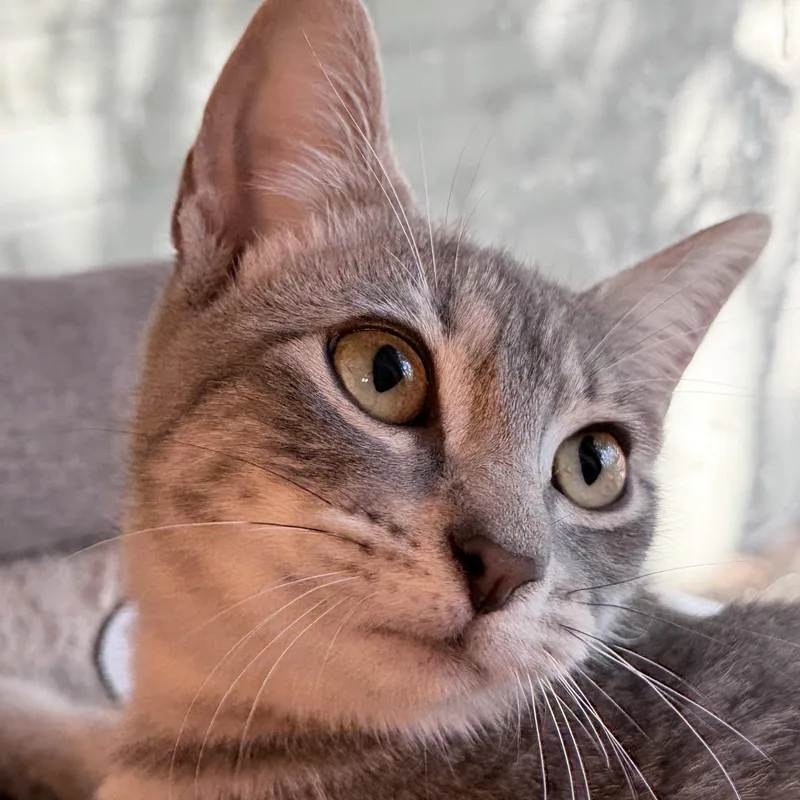 Betty thumbnail 5