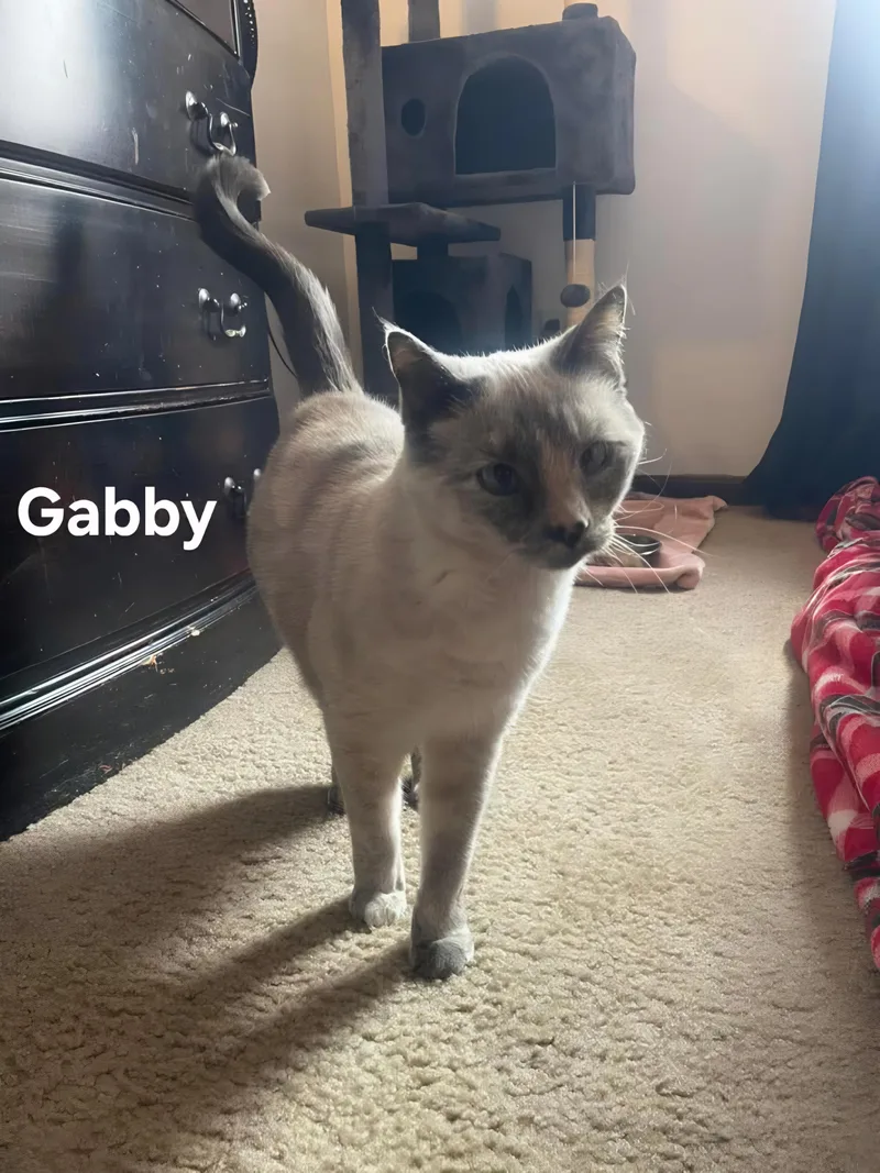 Gabby